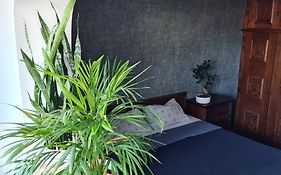 Apartment In Dristor Area